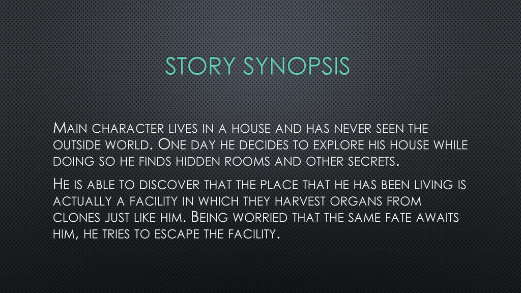 Story Synopsis