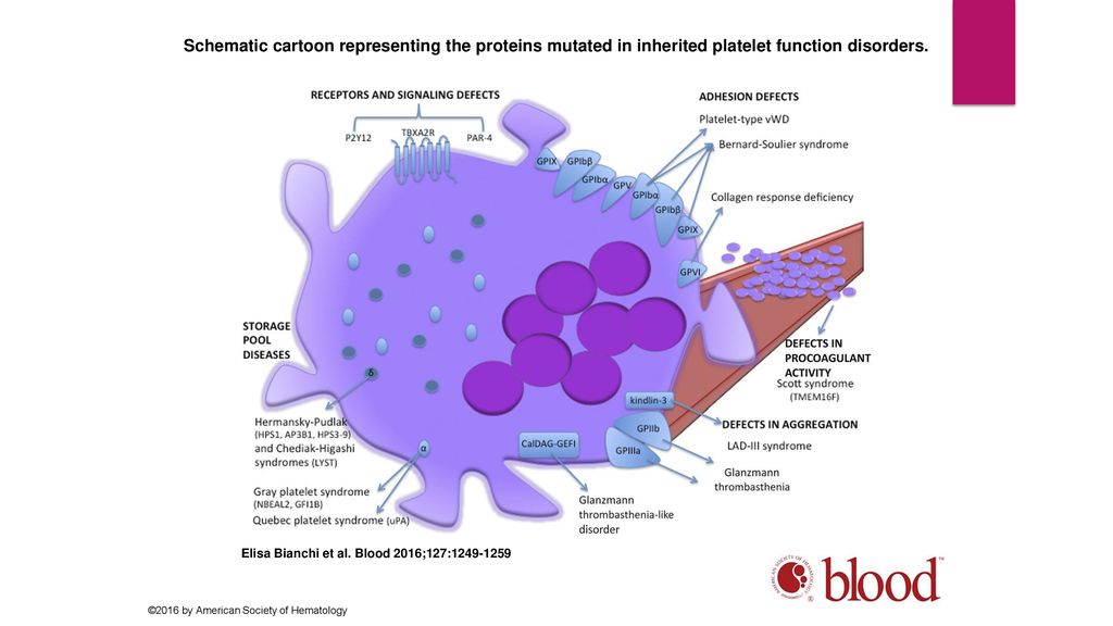 pix Platelet Aggregation Cartoon qualitative platelet disorders ppt