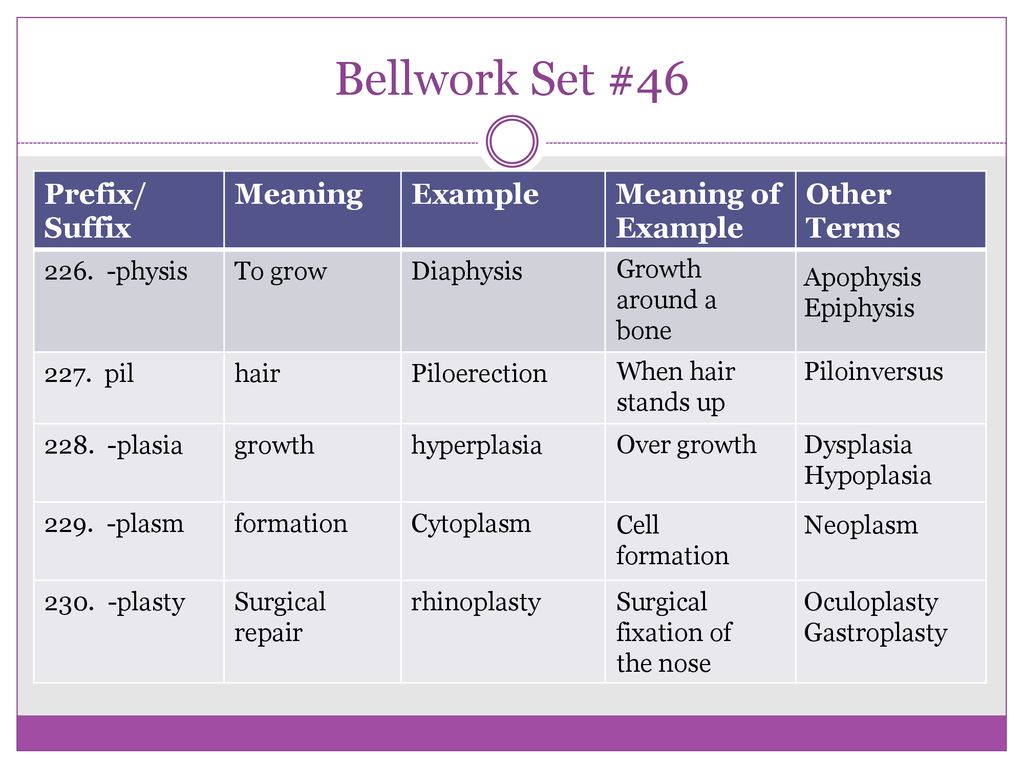 Medical Terminology Root Words Prefixes And Suffixes 4th 9 Weeks Ppt Download