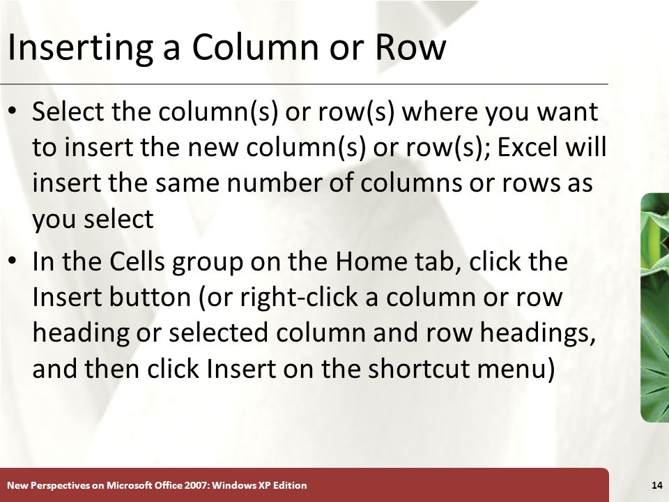 Inserting a Column or Row