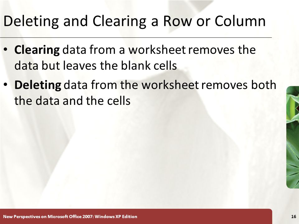 Deleting and Clearing a Row or Column