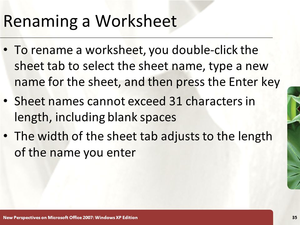 Renaming a Worksheet
