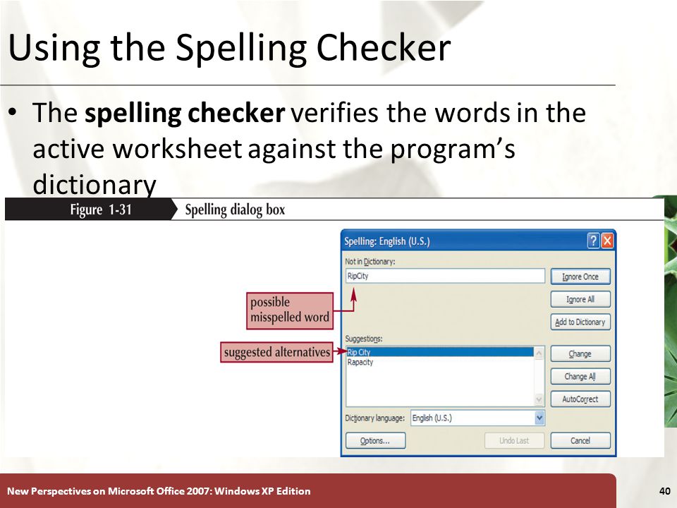 Using the Spelling Checker