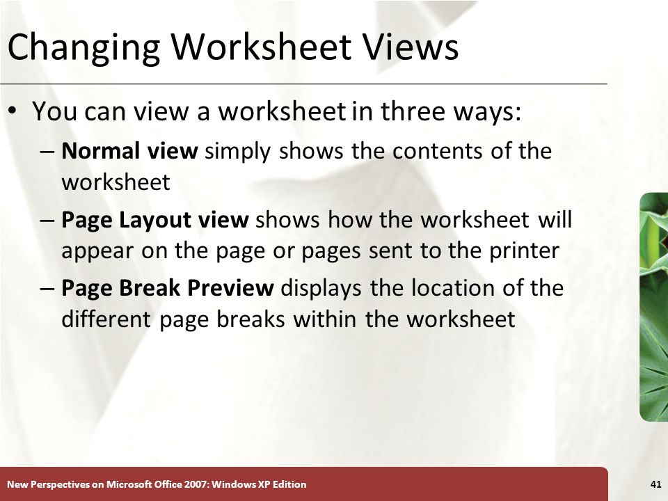 Changing Worksheet Views