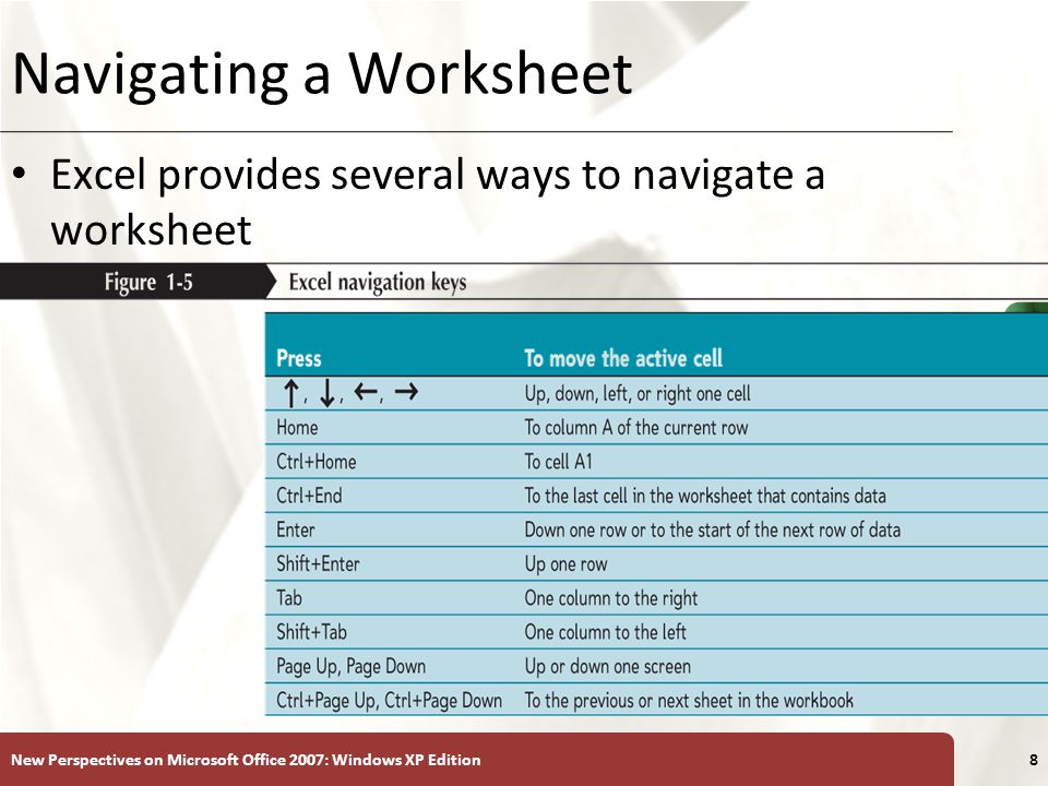 Navigating a Worksheet
