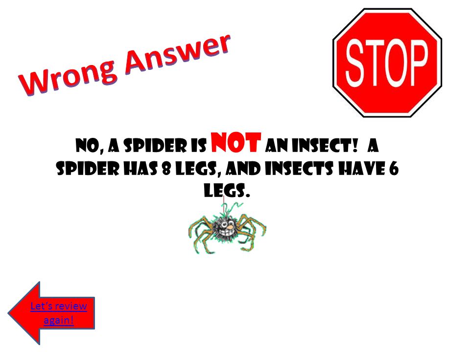 Wrong Answer No, a spider is not an insect. A spider has 8 legs, and insects have 6 legs.