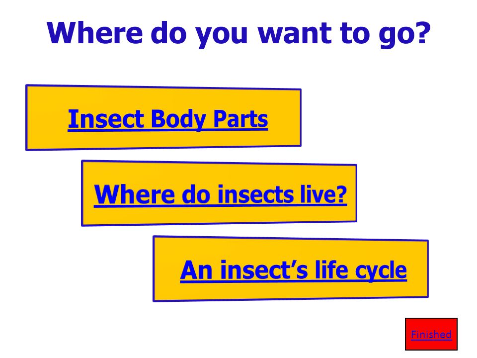 Where do you want to go Insect Body Parts Where do insects live