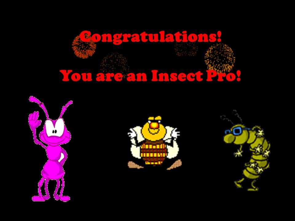Congratulations! You are an Insect Pro!