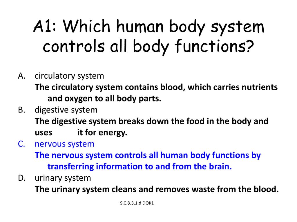 A1: Which human body system controls all body functions