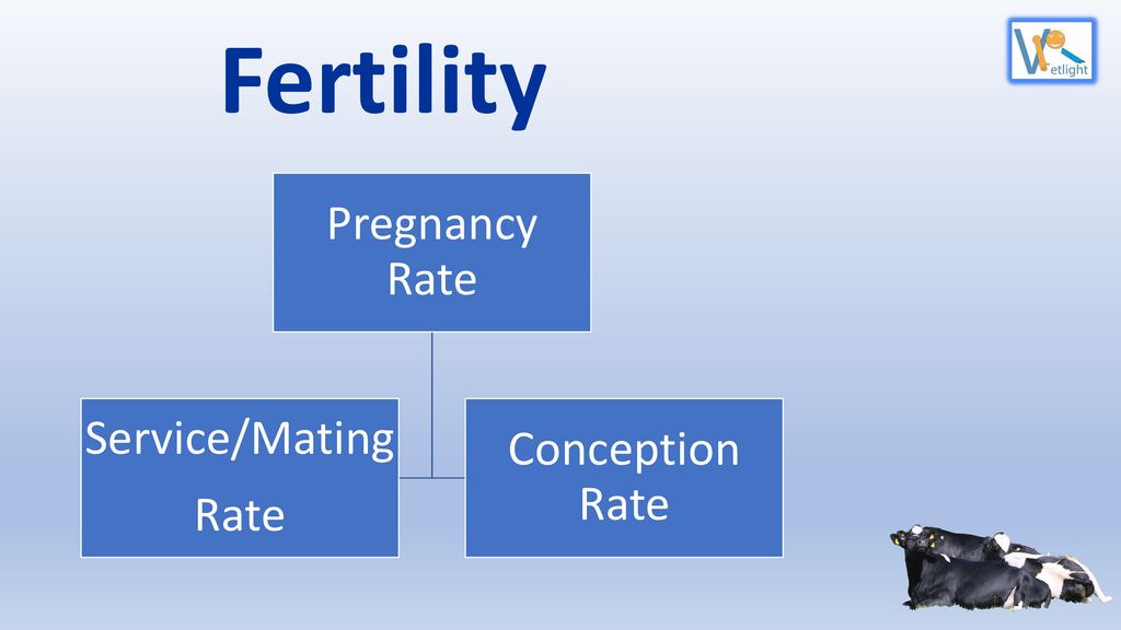 Fertility Pregnancy Rate Service/Mating Rate Conception Rate