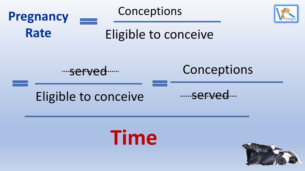 Time Pregnancy Rate Eligible to conceive Conceptions served served