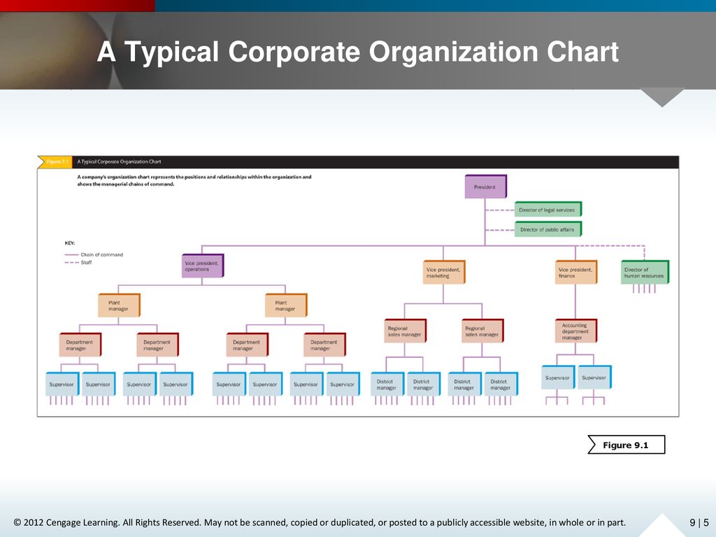 Typical Corporate Org Chart