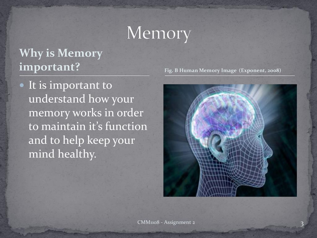Human memory a basic overview of human memory its primary functions