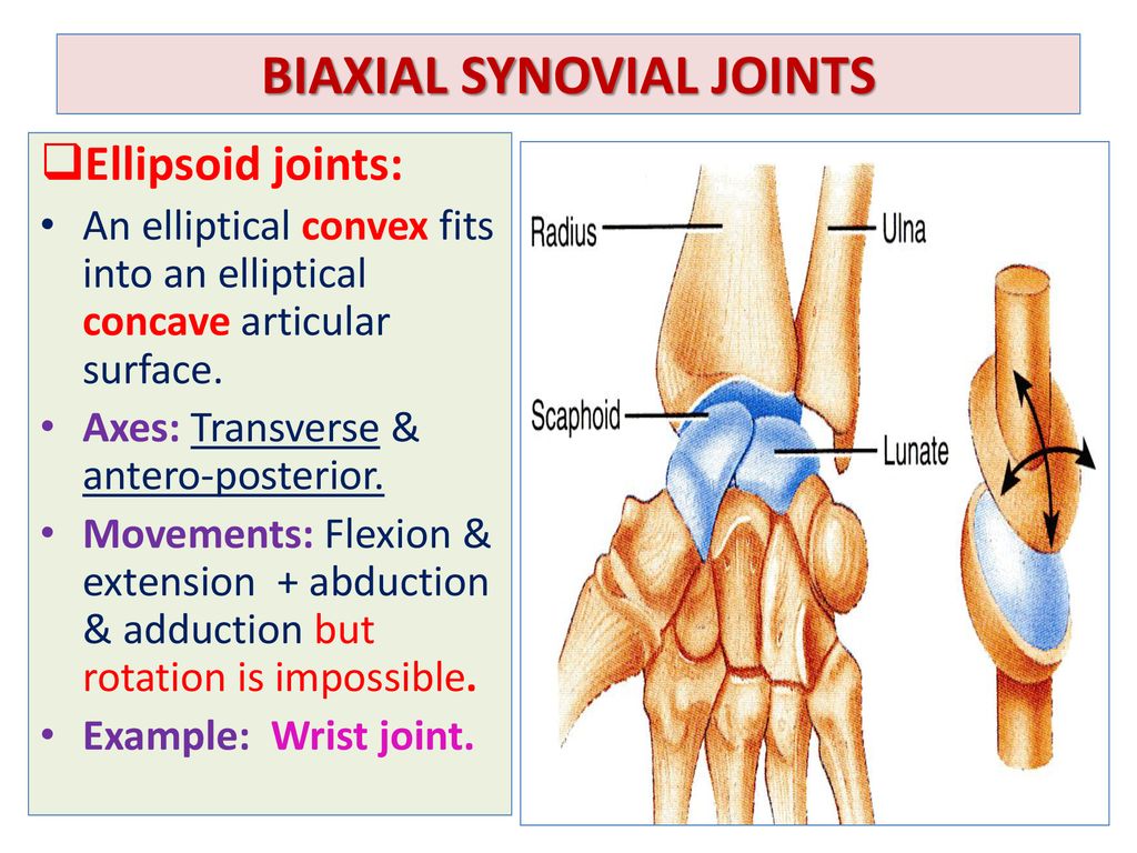 Ellipsoid Joint Examples