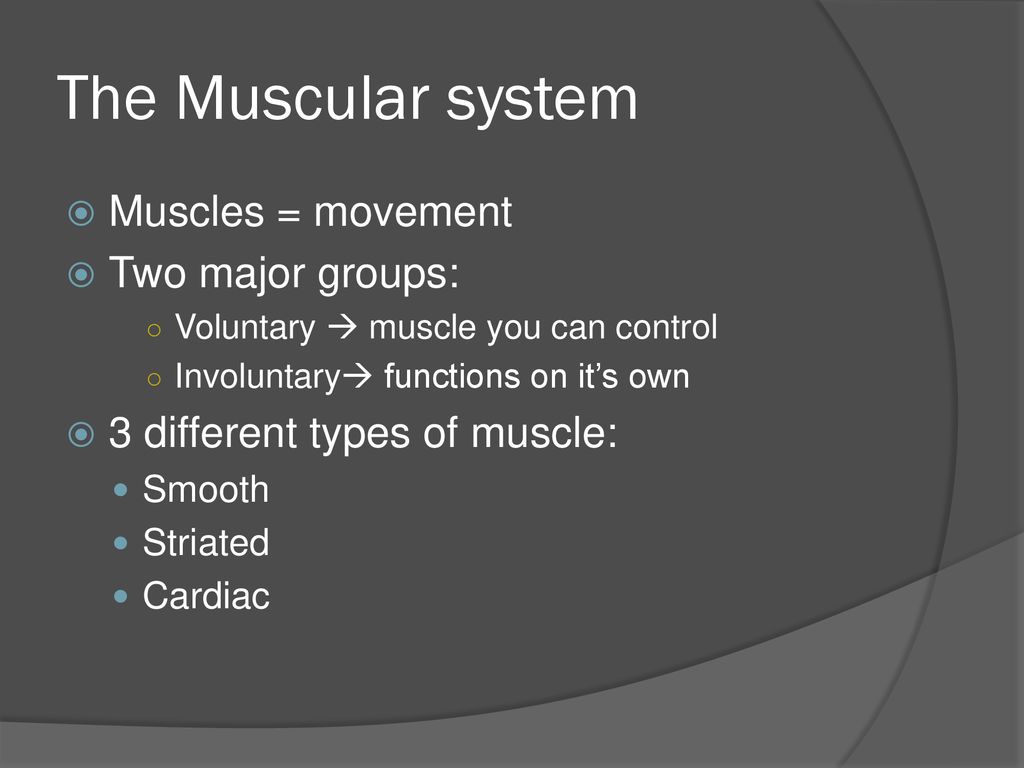 THE HUMAN BODY THE SKELETAL SYSTEM Ppt Download the-human-body-the-skeletal-system-ppt-download