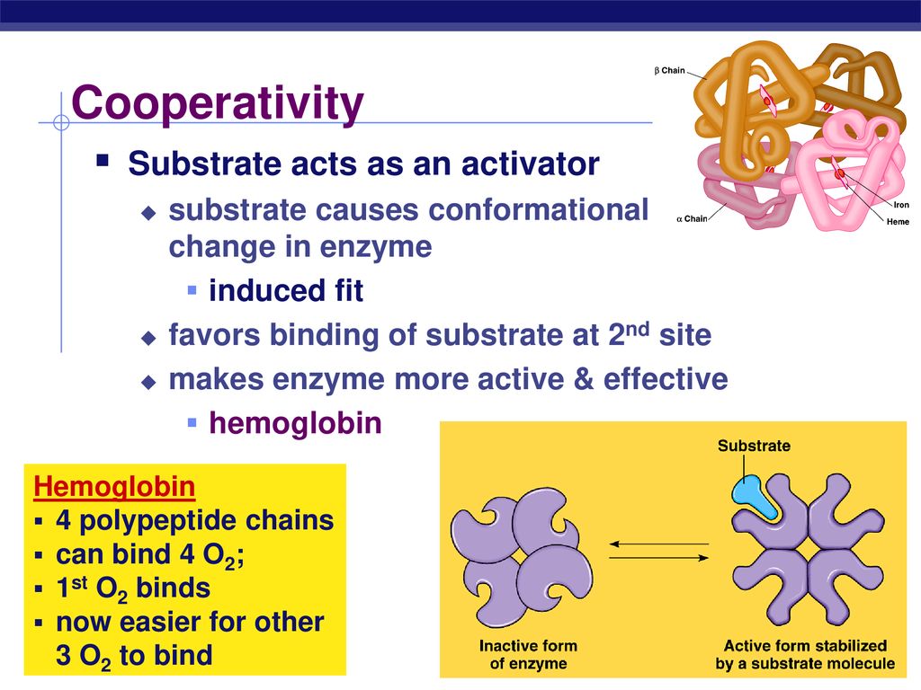Тест на ферменты. Hemoglobin o2 Bindings. Conformational change. Bio Enzyme. 3 Parts that makes Enzymes.