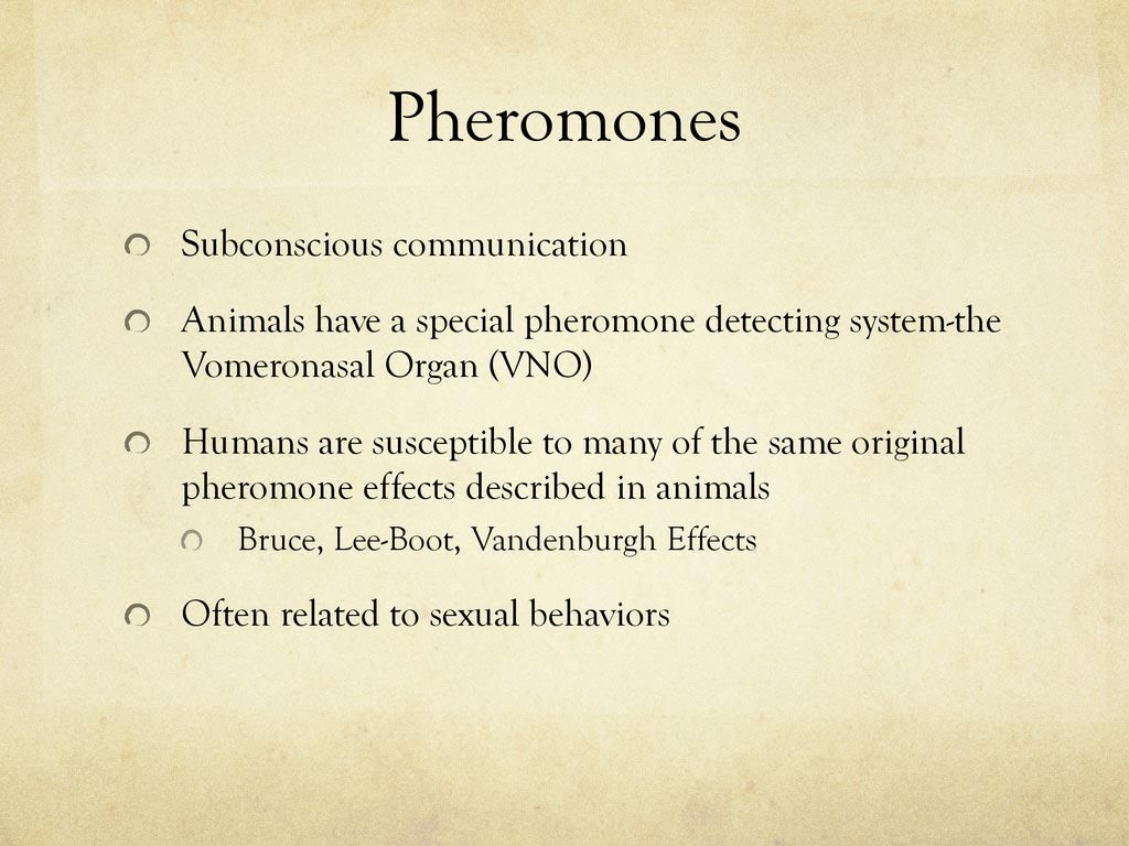 Communication and Pheromones in Mammals - ppt download