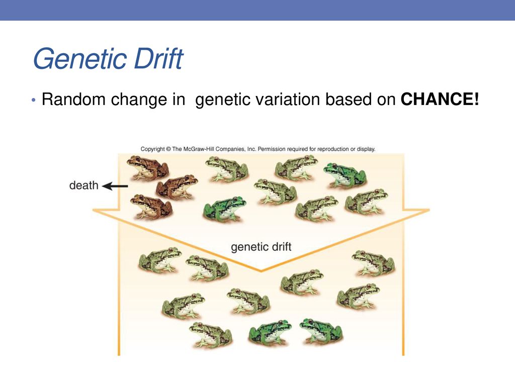 Mechanisms of evolution ppt download
