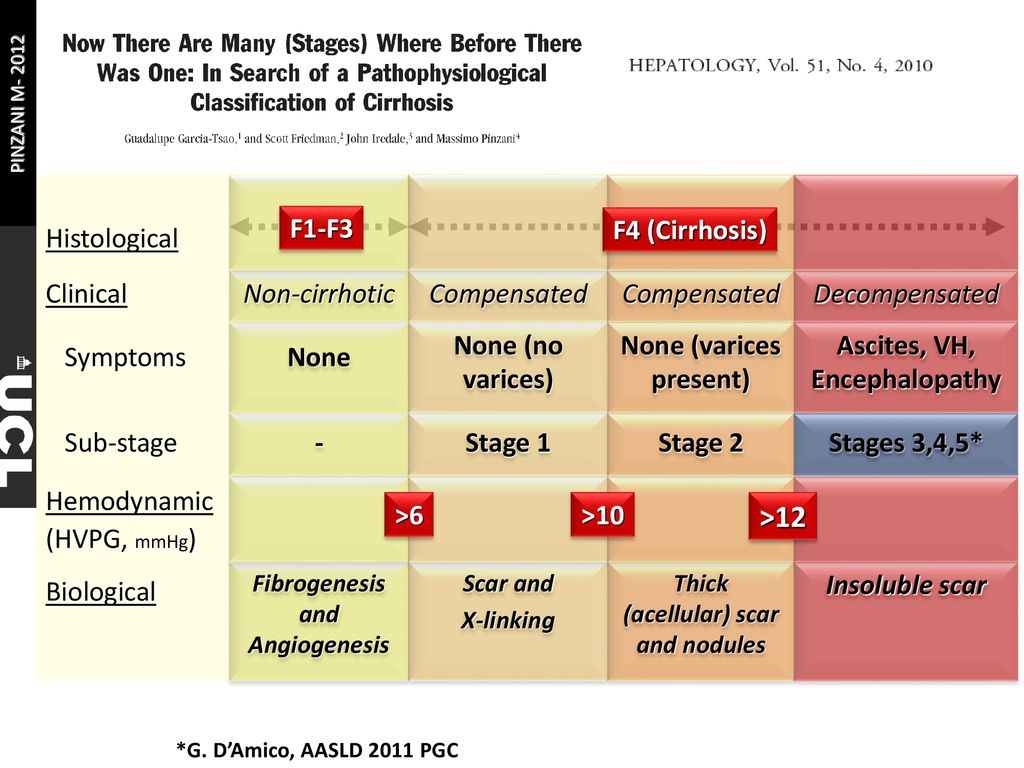 The Need Of A New Pathophysiological Classification Of Cirrhosis Ppt Download