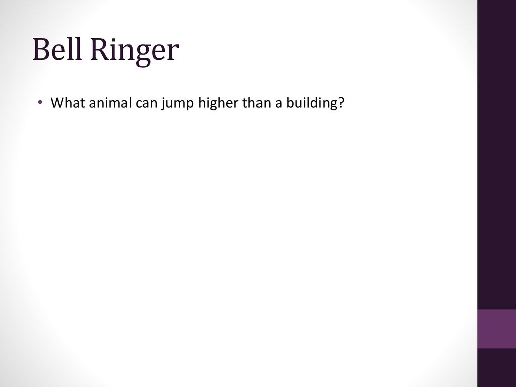 Bell Ringer What animal can jump higher than a building? ppt download