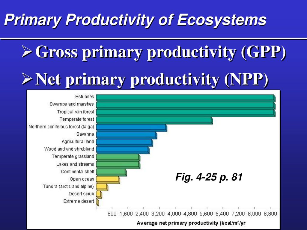 Ecosystems: Components, Energy Flow, and Matter Cycling Biology Diagrams