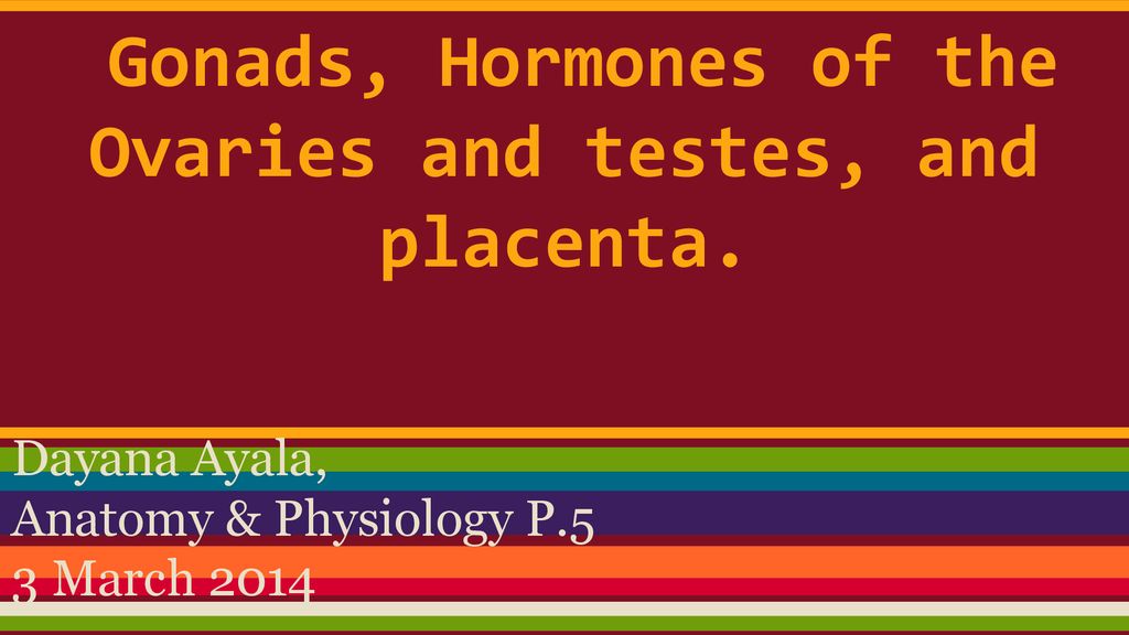 Gonads Hormones of the Ovaries and testes and placenta Biology Diagrams
