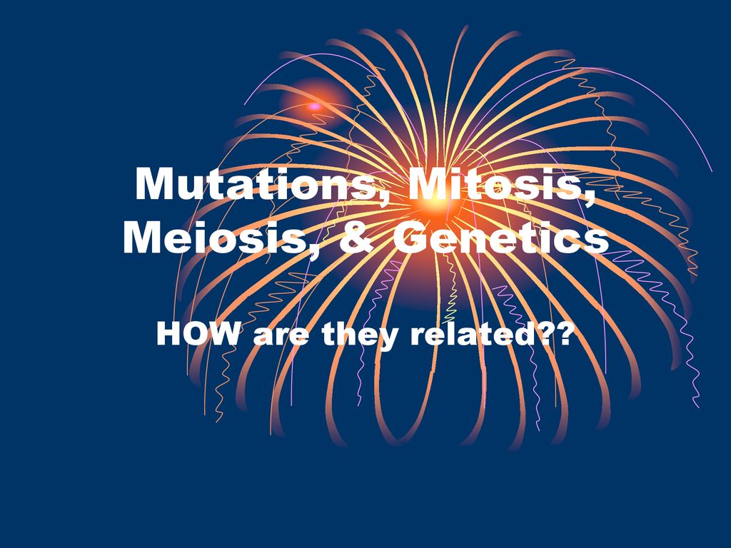Mutations, Mitosis, Meiosis, & Genetics Biology Diagrams