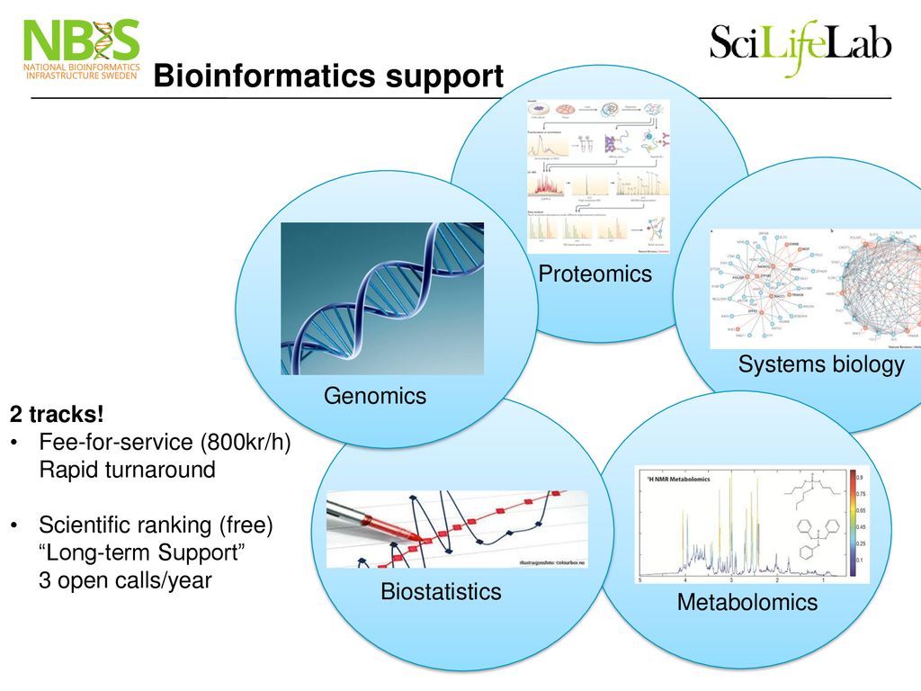 Bioinformatics support