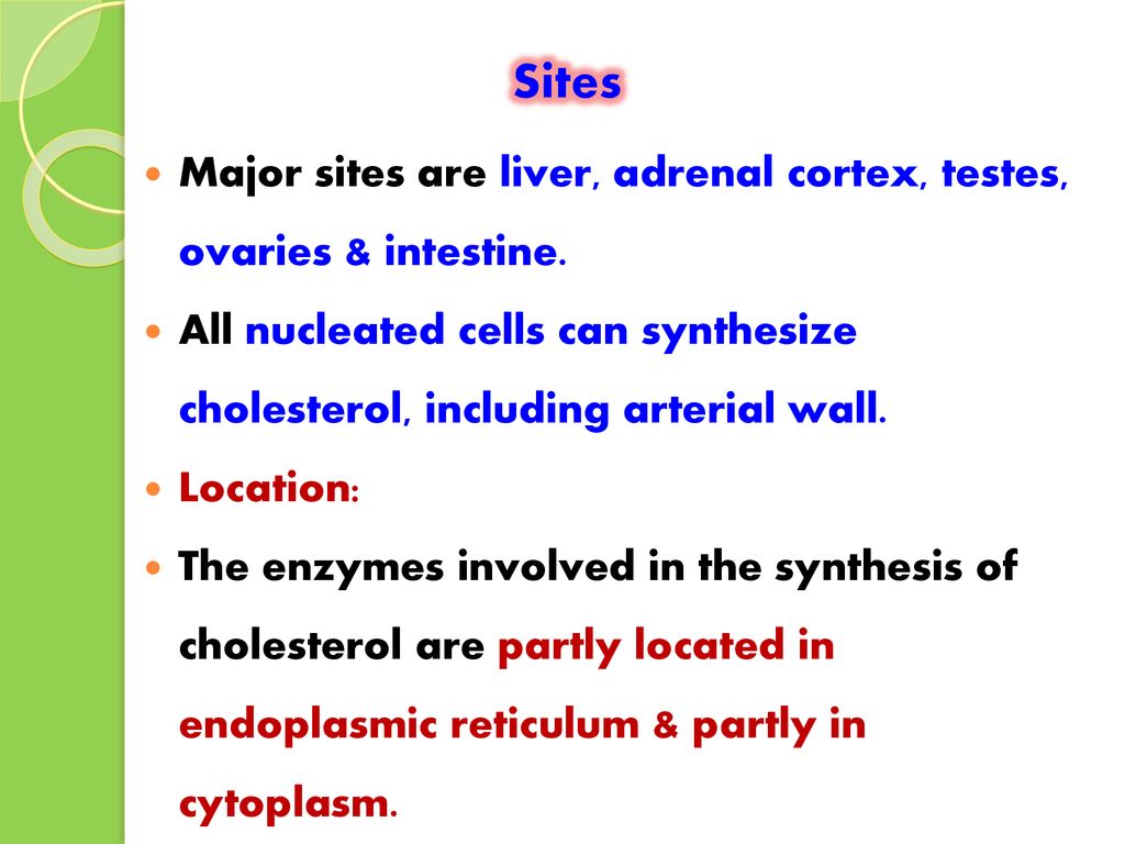 Sites Major sites are liver, adrenal cortex, testes, ovaries & intestine. All nucleated cells can synthesize cholesterol, including arterial wall.