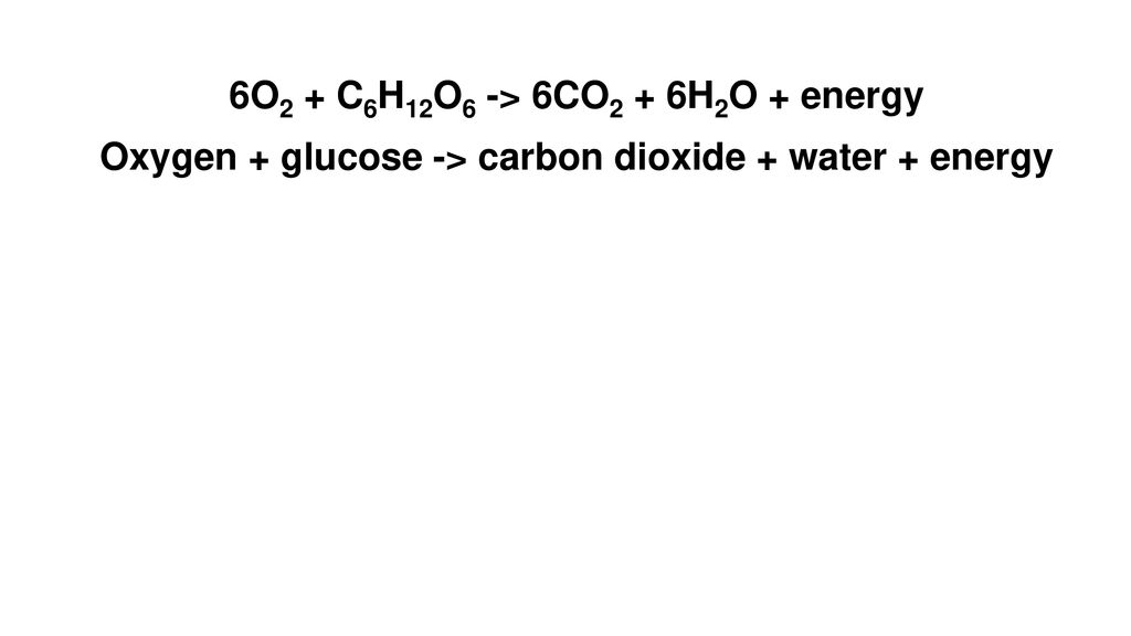 The Equations Cell Respiration C6h12o6 6o2 6co2 6h2o Energy Atp Photosynthesis 6co2 6h2o Light Energy C6h12o6 6o2 Ppt Download