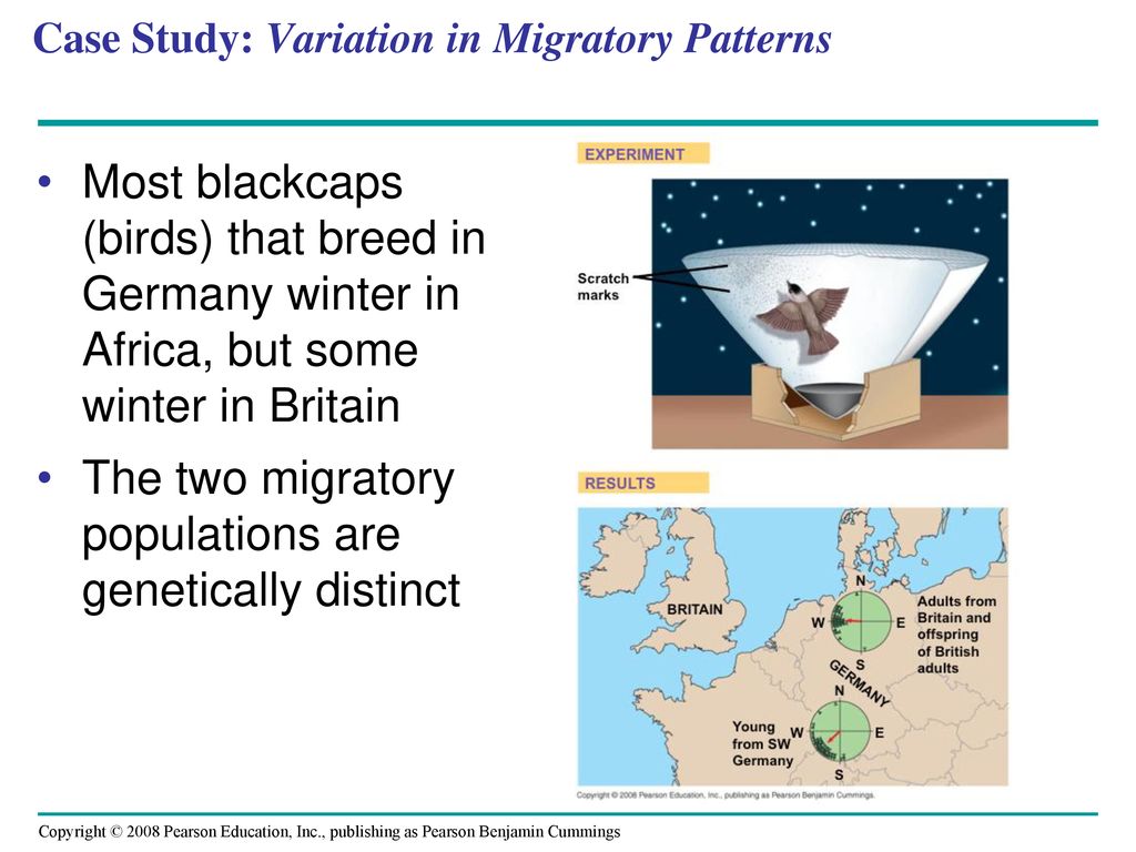 Case Study: Variation in Migratory Patterns