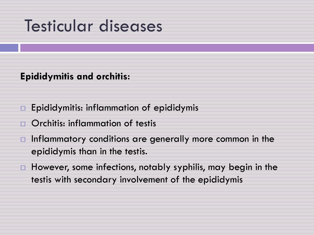 Testicular Pathology Sufia Husain Pathology Department Ksu Riyadh