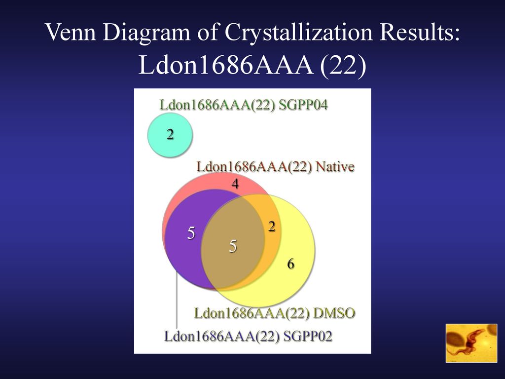 Venn Diagram of Crystallization Results: Ldon1686AAA (22)