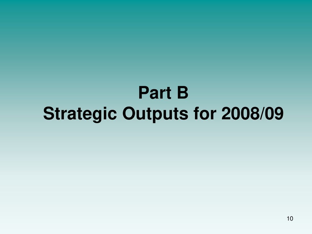 Part B Strategic Outputs for 2008/09
