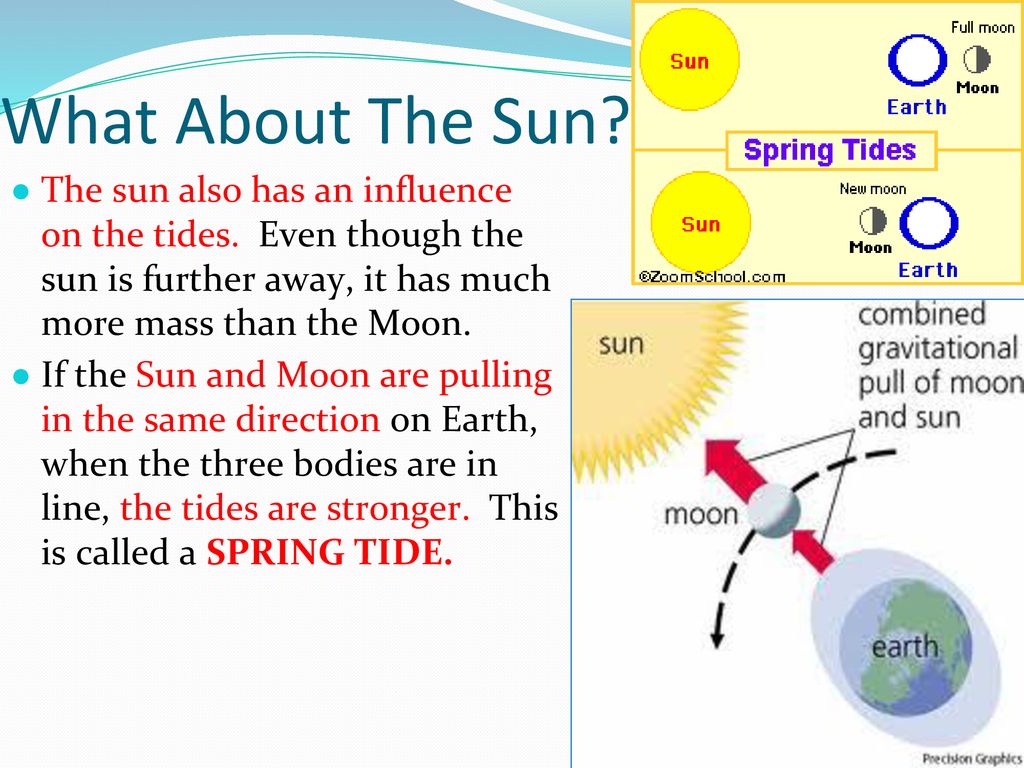What About The Sun The sun also has an influence on the tides. Even though the sun is further away, it has much more mass than the Moon.