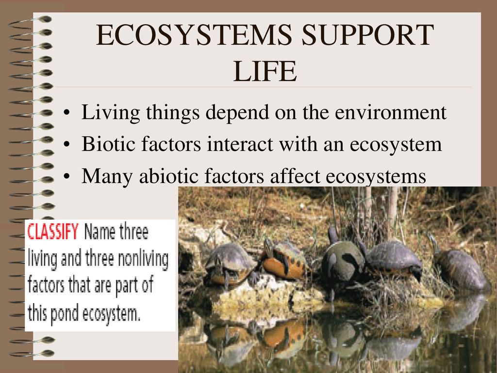 ECOSYSTEMS SUPPORT LIFE