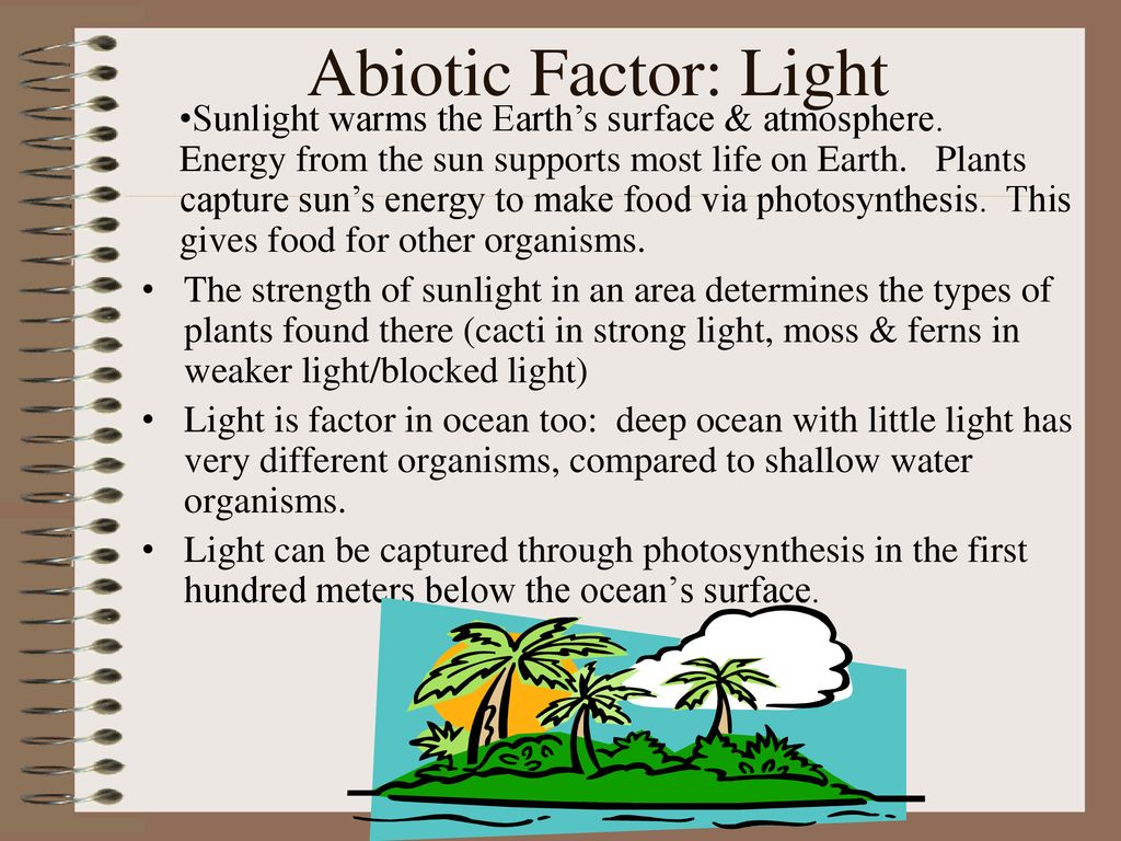 Abiotic Factor: Light