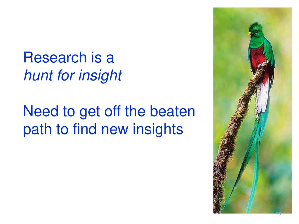 Research is a hunt for insight Need to get off the beaten path to find new insights