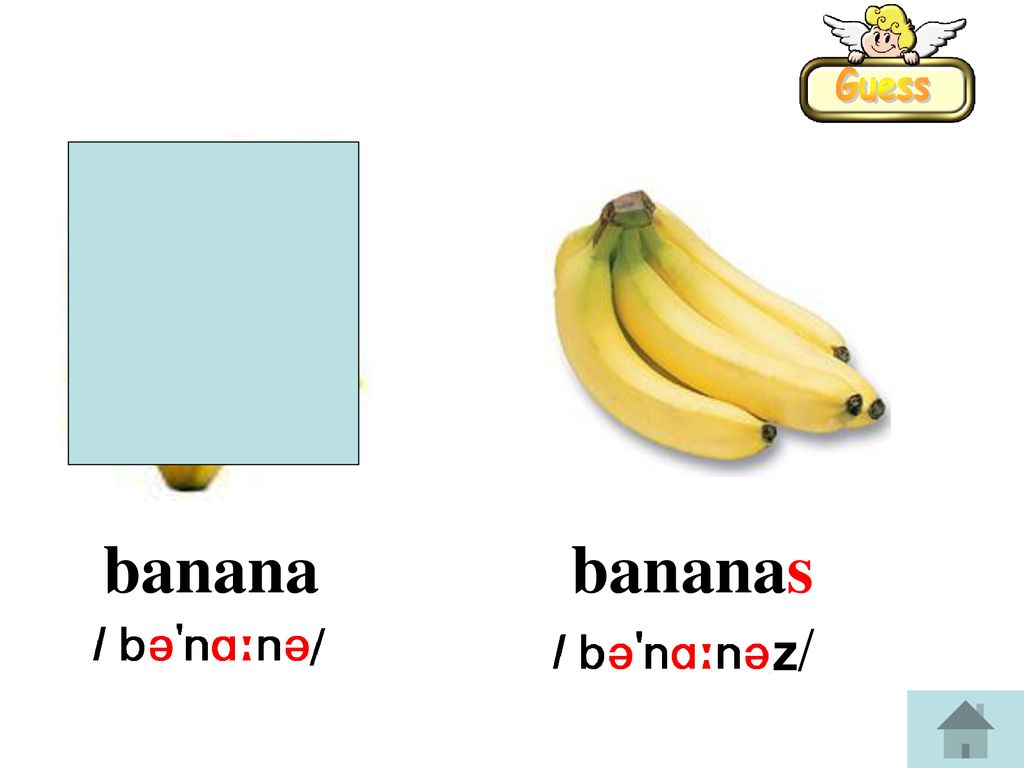 Guess banana bananas z/
