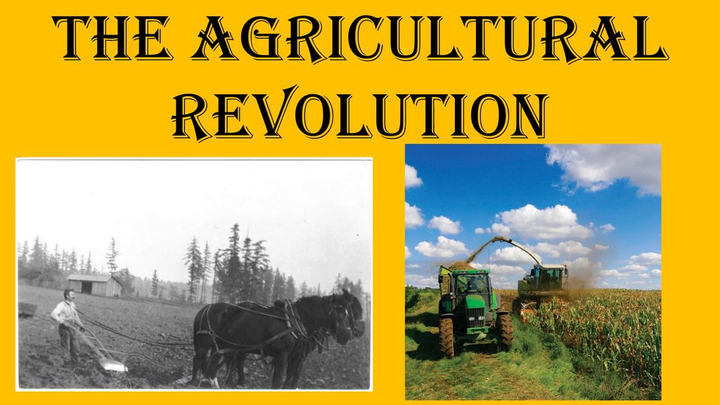 THE AGRICULTURAL REVOLUTION - ppt download