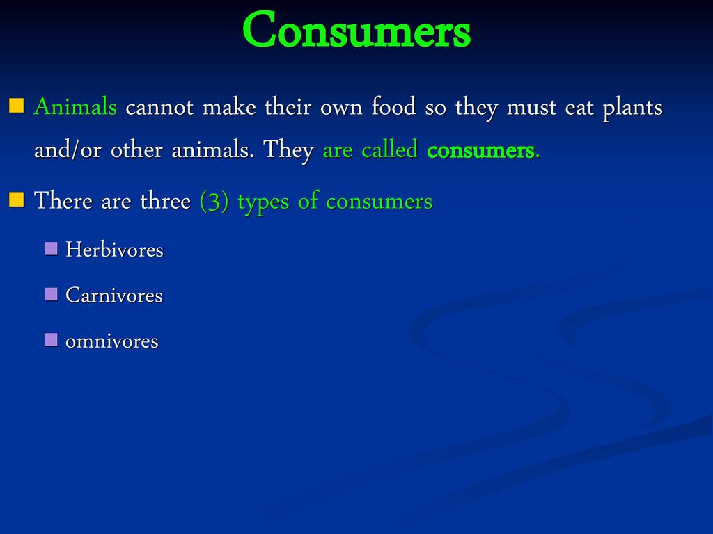 Food Webs, Food Chains, and Food Pyramids - ppt download