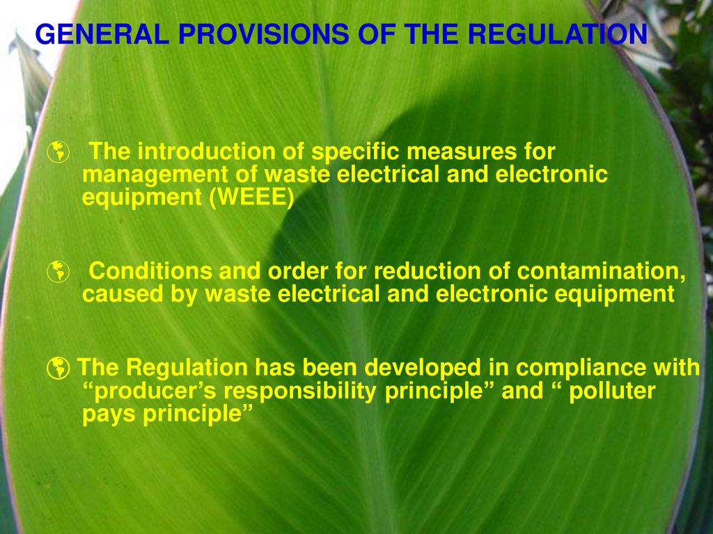 GENERAL PROVISIONS OF THE REGULATION