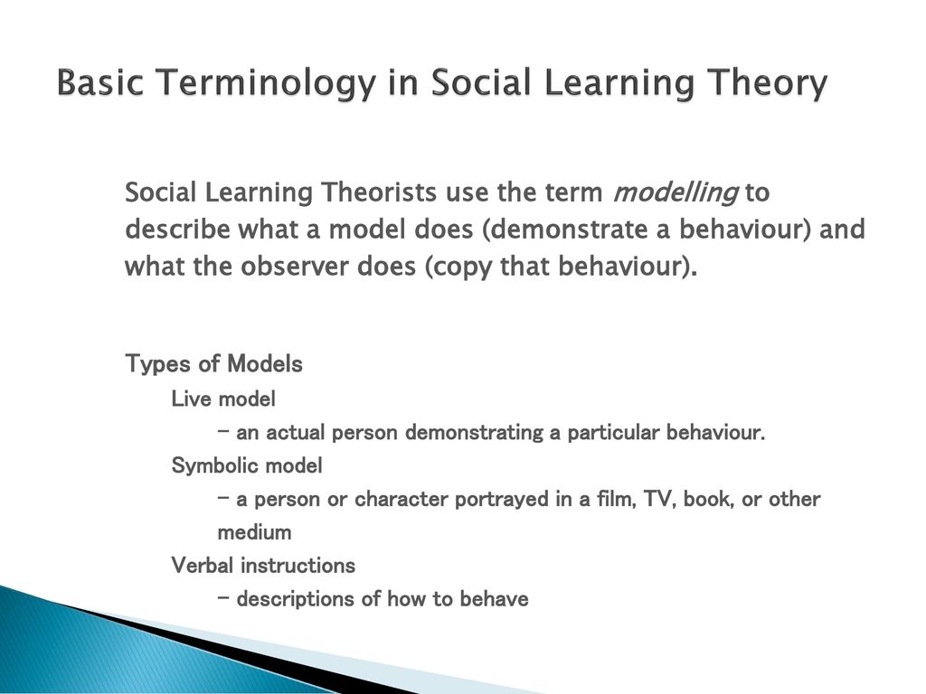 Sexy Kinky Stuff Social Learning Model Theory