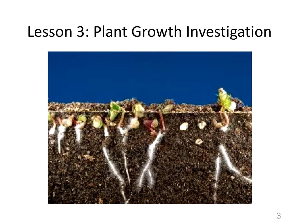 Lesson 3: Plant Growth Investigation