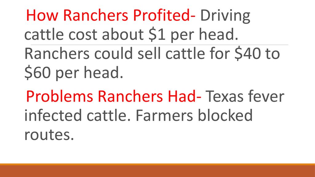 How Ranchers Profited- Driving cattle cost about $1 per head