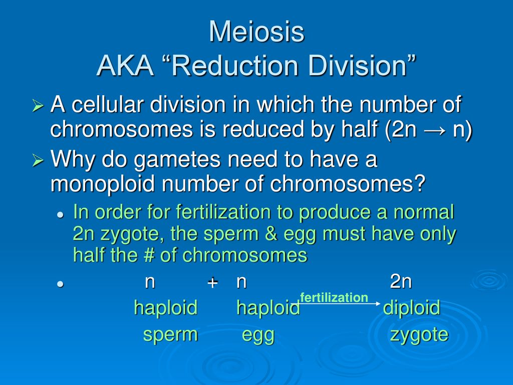 Sexual Reproduction and Meiosis Biology Diagrams