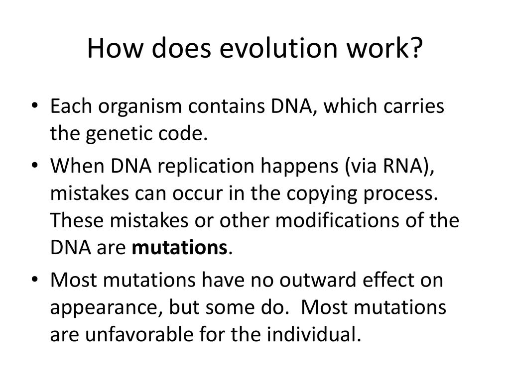 How does evolution work