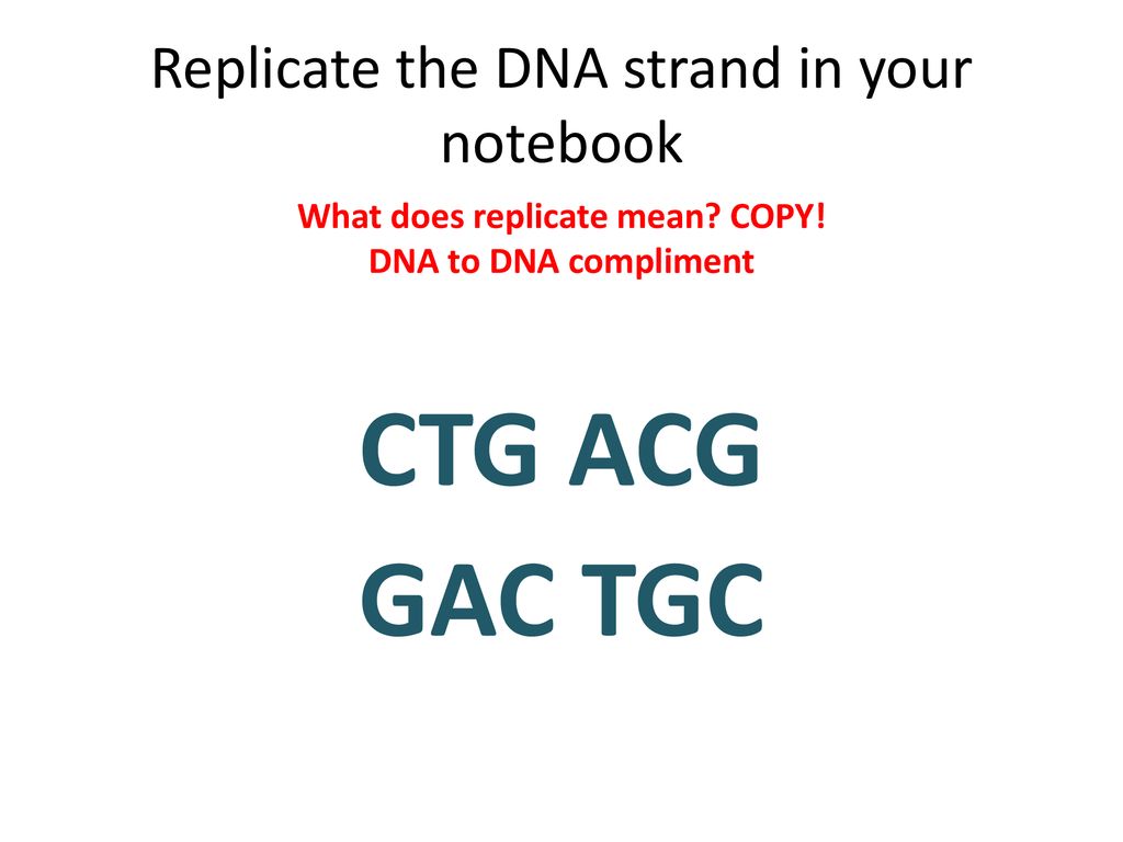 protein-synthesis-word-scramble-ppt-download