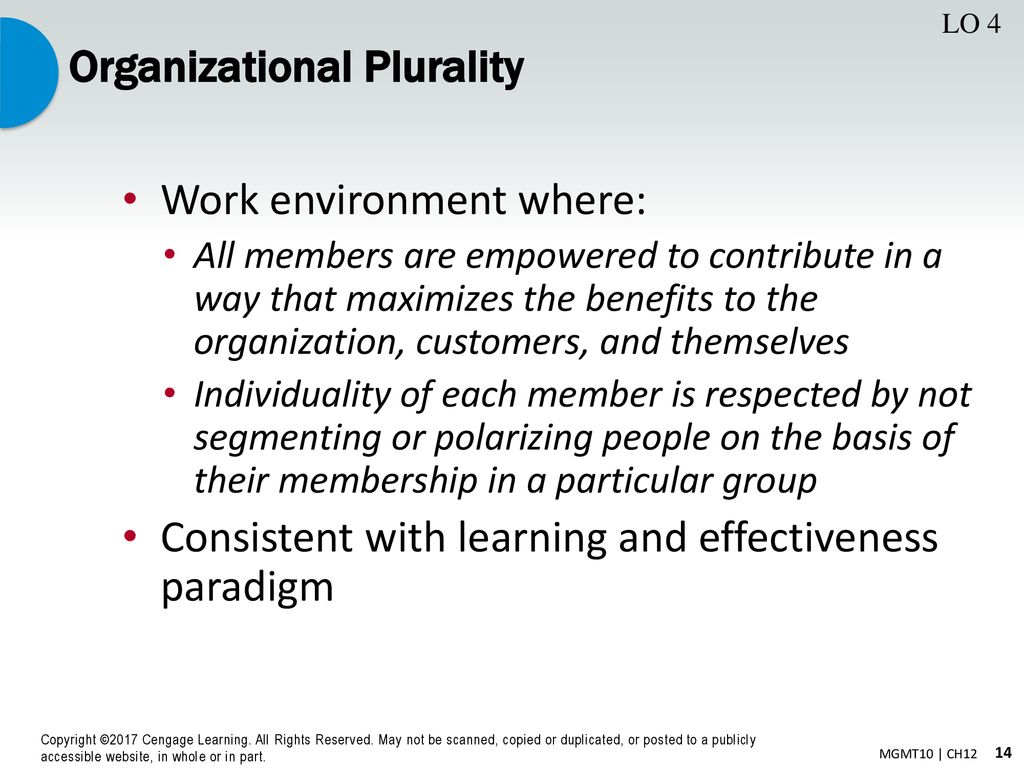 organizational plurality