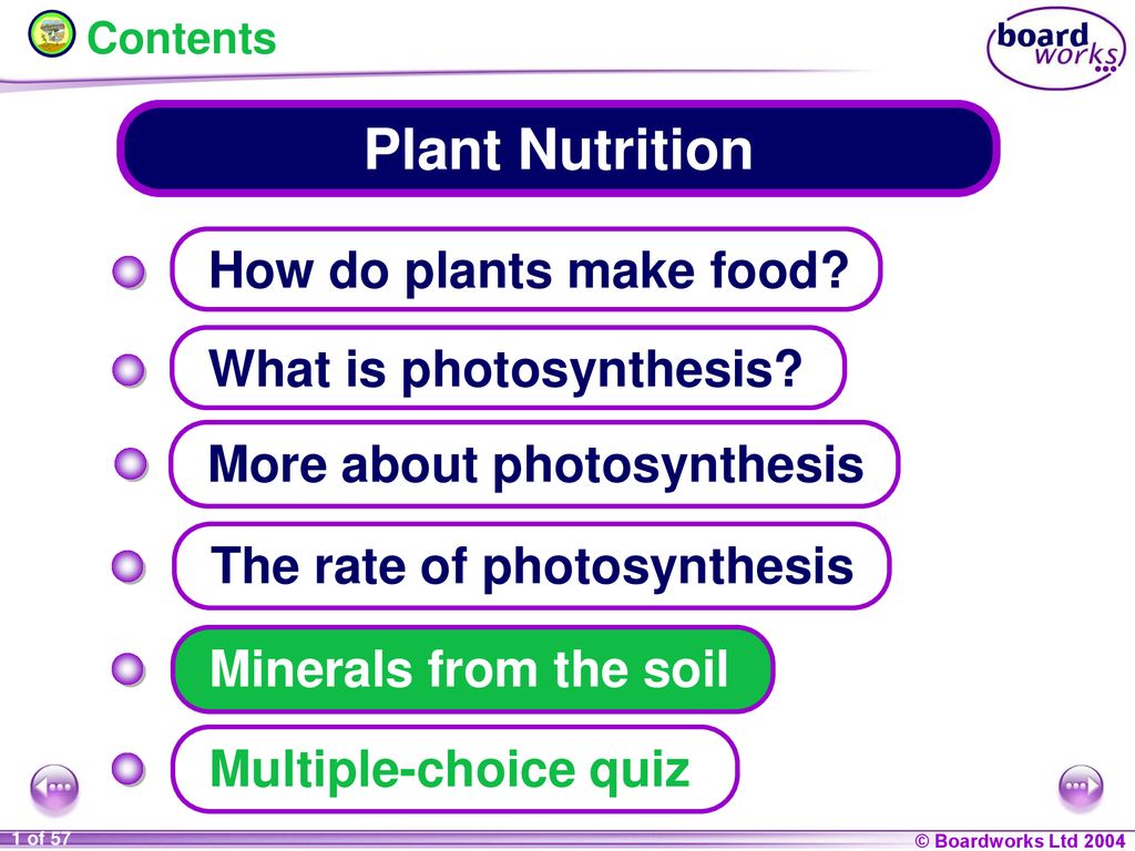 plant-nutrition-how-do-plants-make-food-what-is-photosynthesis-ppt